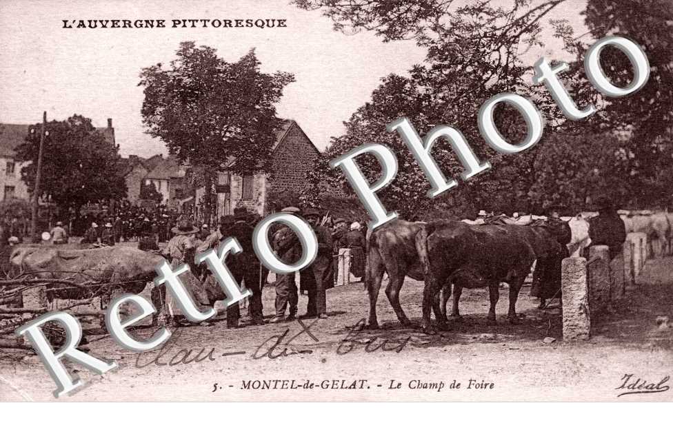 le champ de foire