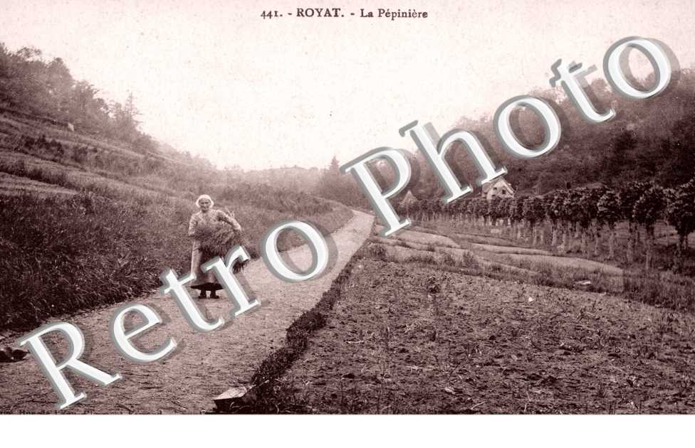 La Pepiniere