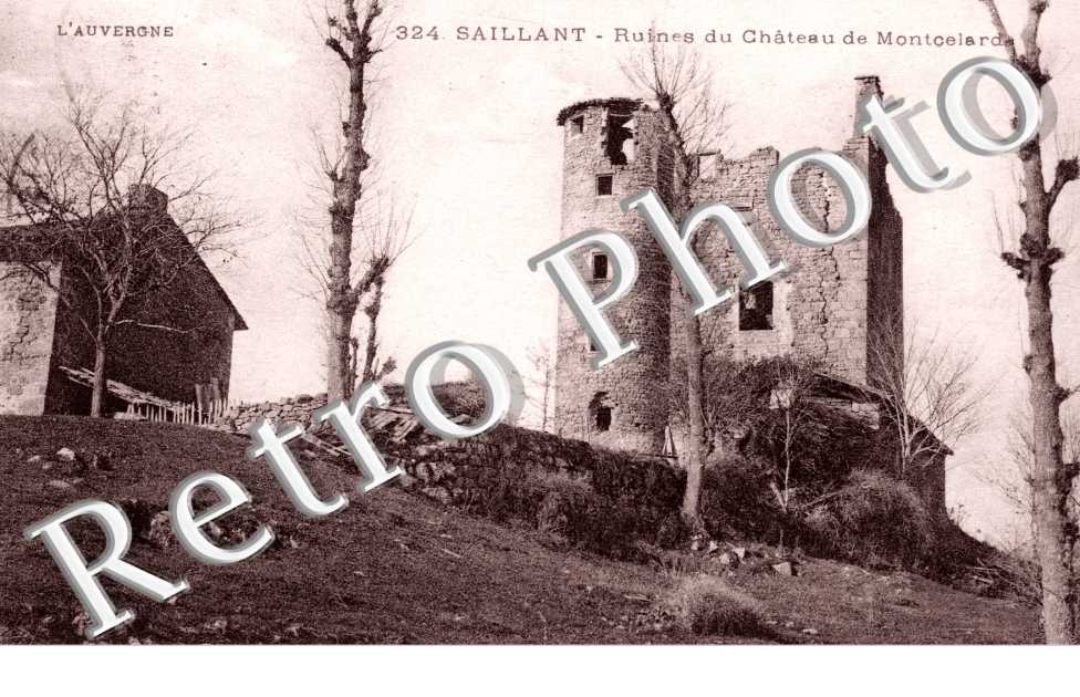 ruines du chateau de  Montcelard