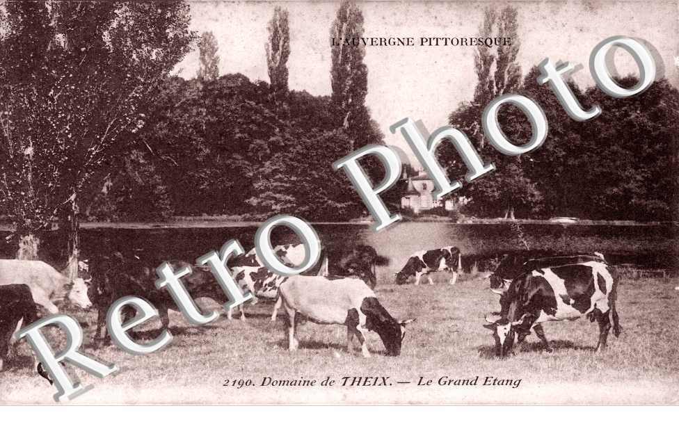 domaine  de Theix Le grand étang