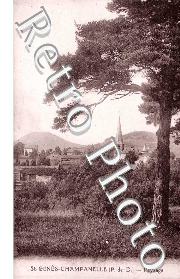 Paysage 