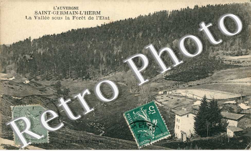 La vallee sous la foret de l'etat
