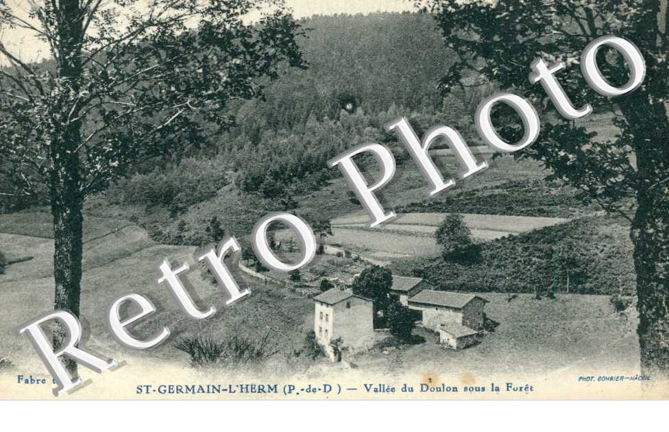 Vallee du Doulon sous la Foret