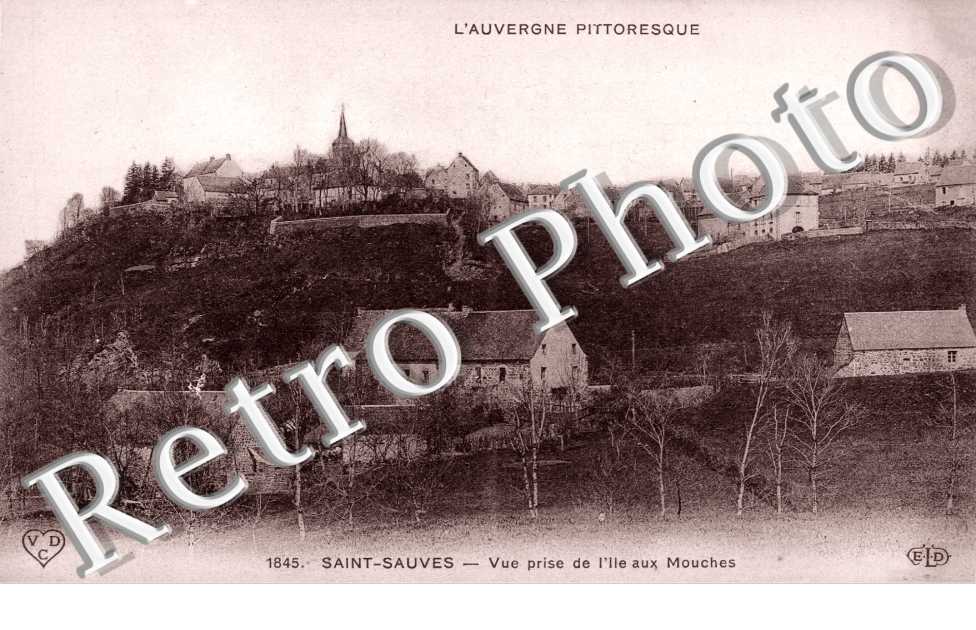 Vue generale Ile aux Mouches