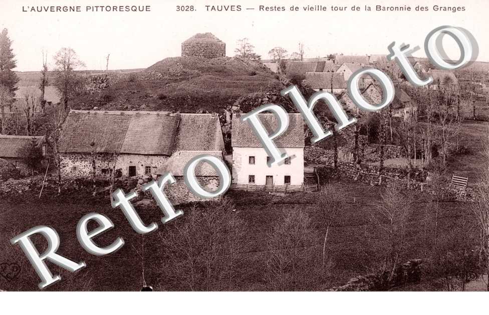 Restes de Vieille Tour de la Baronnie des Granges