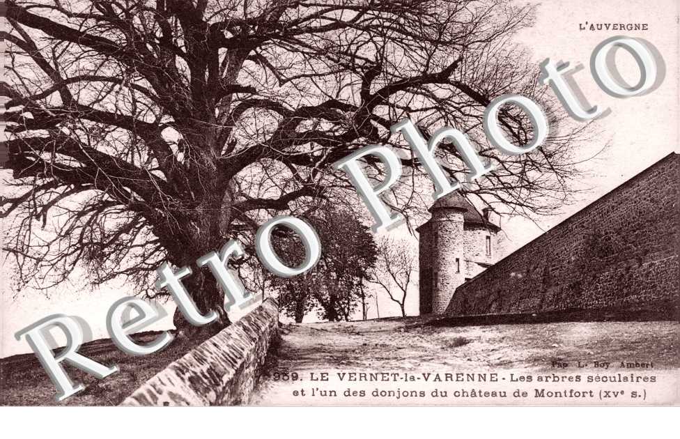 Les abres séculaires et l'un des donjons du château de Montfort