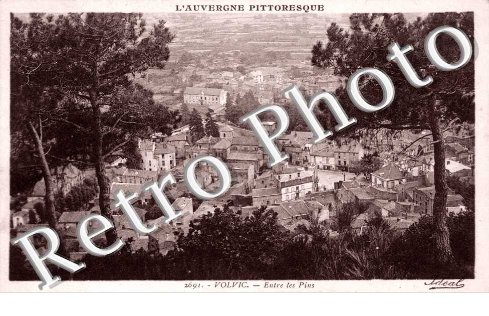 Entre les Pins