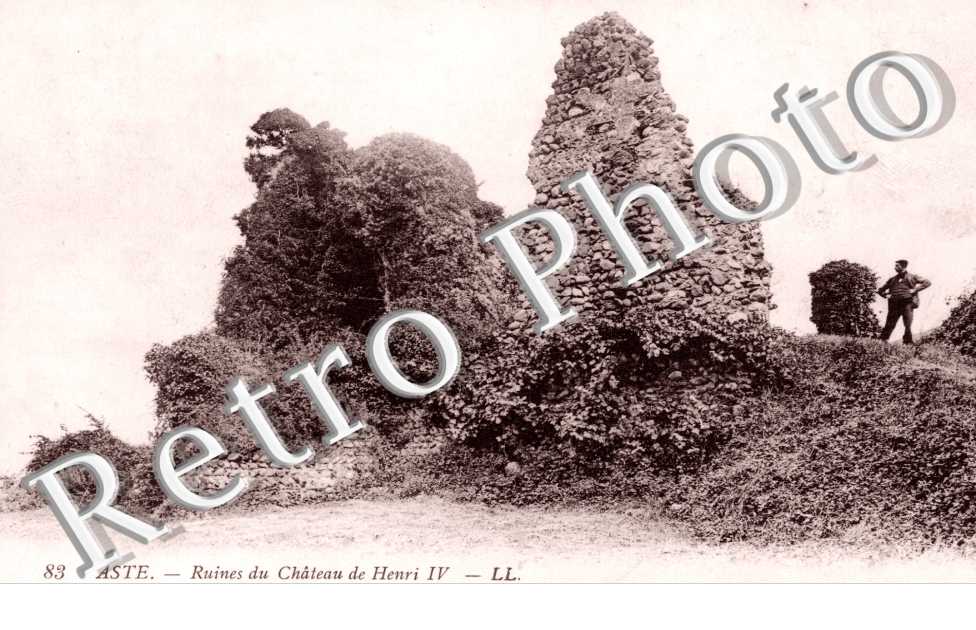 Ruines du chateau d'Henri IV
