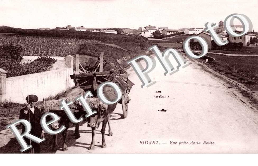 vue prise de la Route