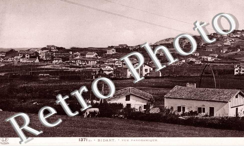 Vue panoramique