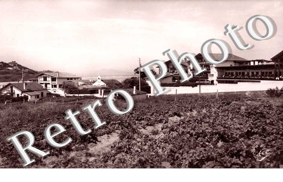 Les Embruns, Vue generale