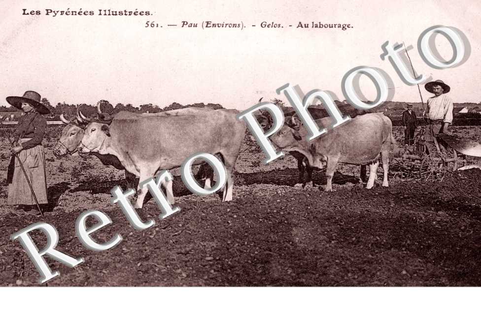 Au labourage - AGRICULTURE