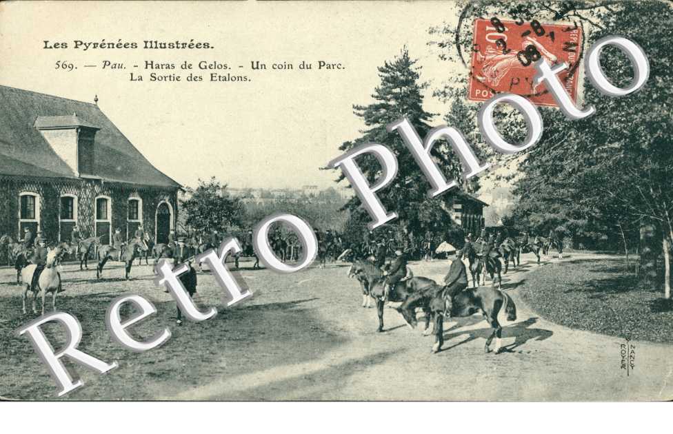 Un coin du parc - sortie des etalons - Haras