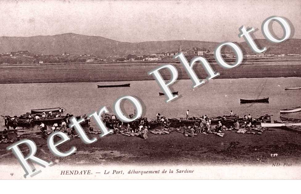 le port, debarquement de la sardine