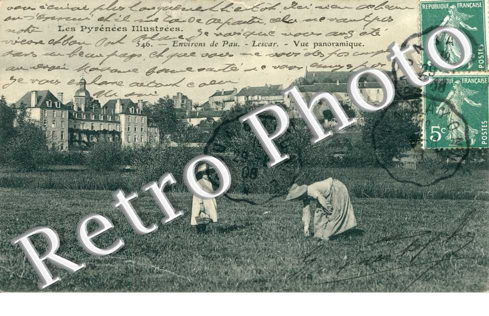 Vue panoramique