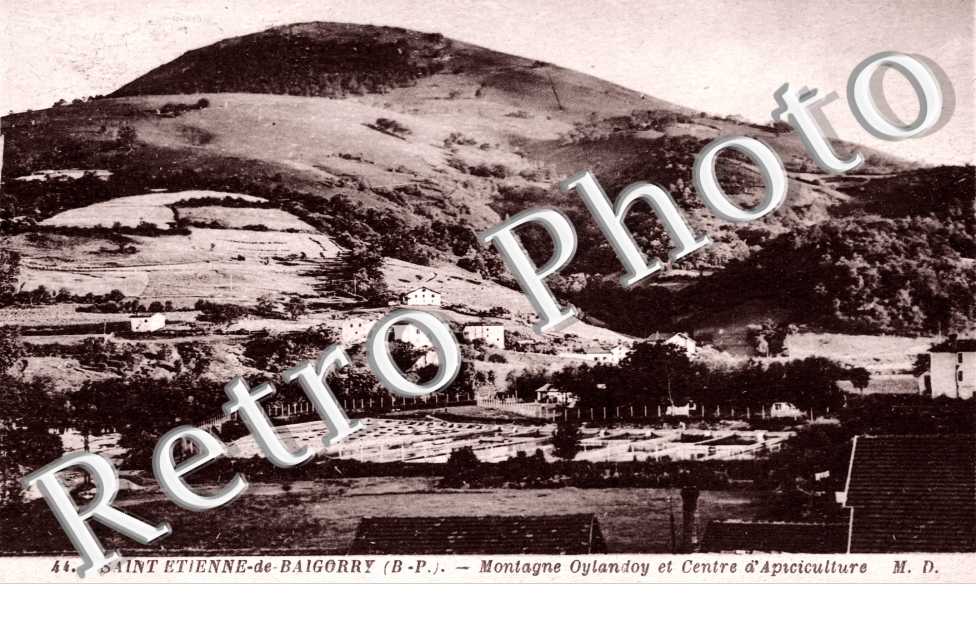 Montagne Oylandoy et Centre d'Apiculture