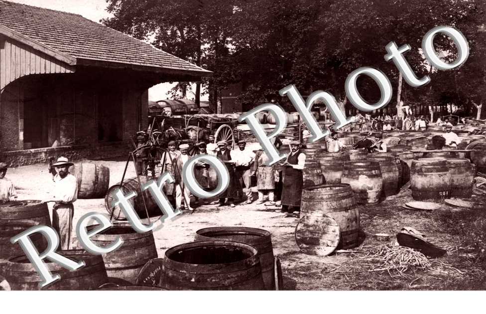 Un groupe pris en photo devant des tonneaux