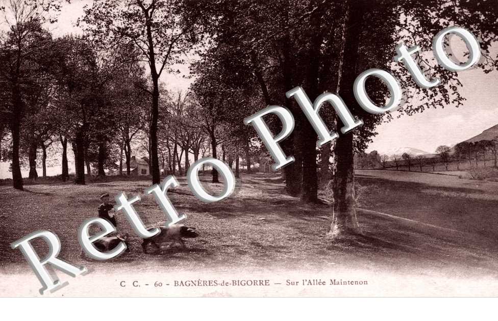 Sur l'allee maintenon