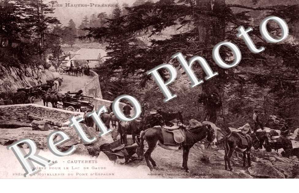 Montures pour le Lac de Gaube pres de l'Hotellerie du Pont d'Espagne