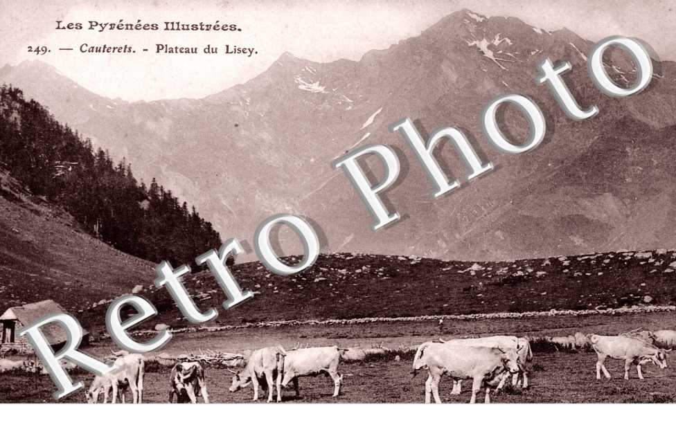 plateau du Lisey
