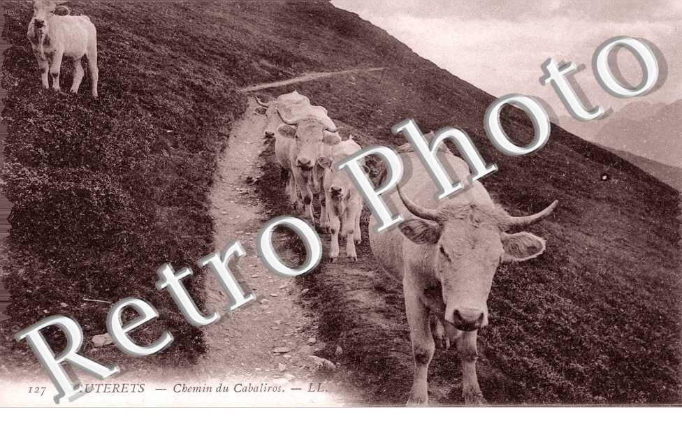 Chemin du Cabaliros