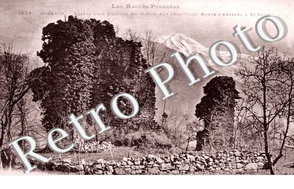 ruines d'un chateau du Moyen Age 