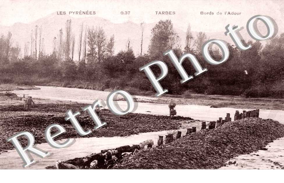Bords de l'Adour
