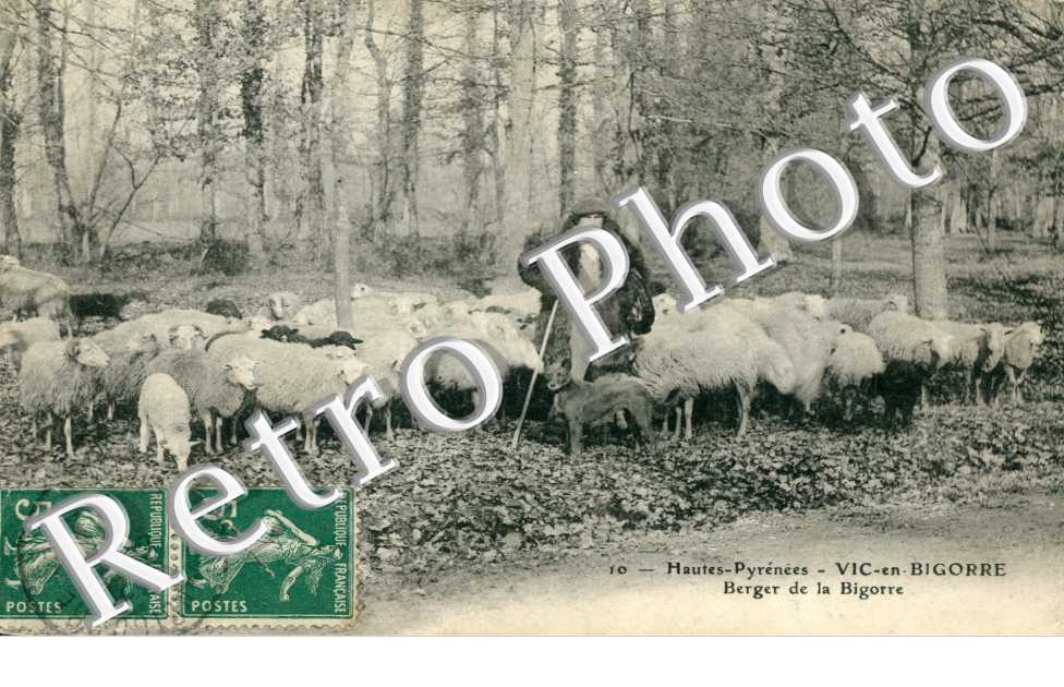 Berger de la Bigorre