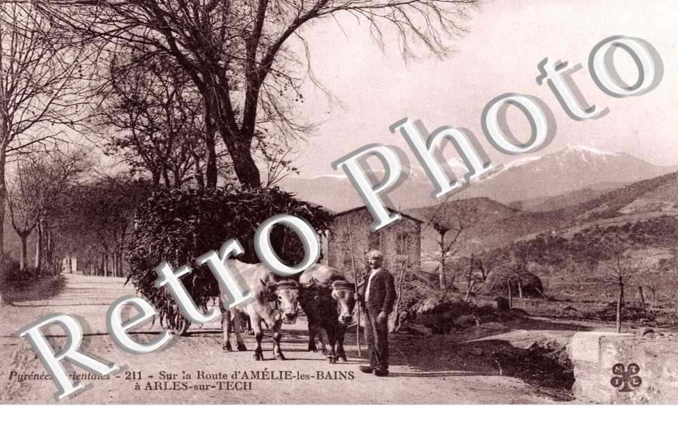 Sur la route d'Amelie les bains