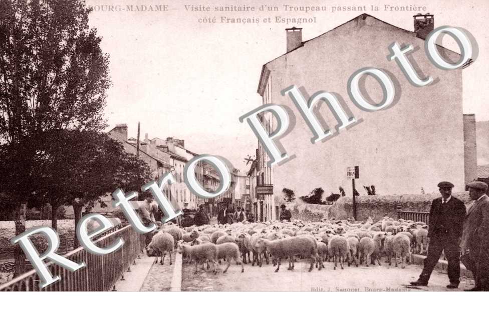 Visite sanitaire d'un troupeau passant la Frontiere cote francais et espagnol