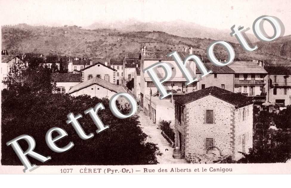 rue des Alberts et le Canigou