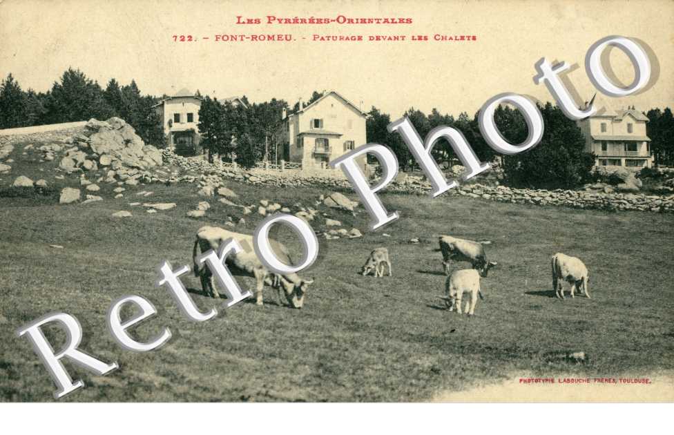 paturage devant les chalets