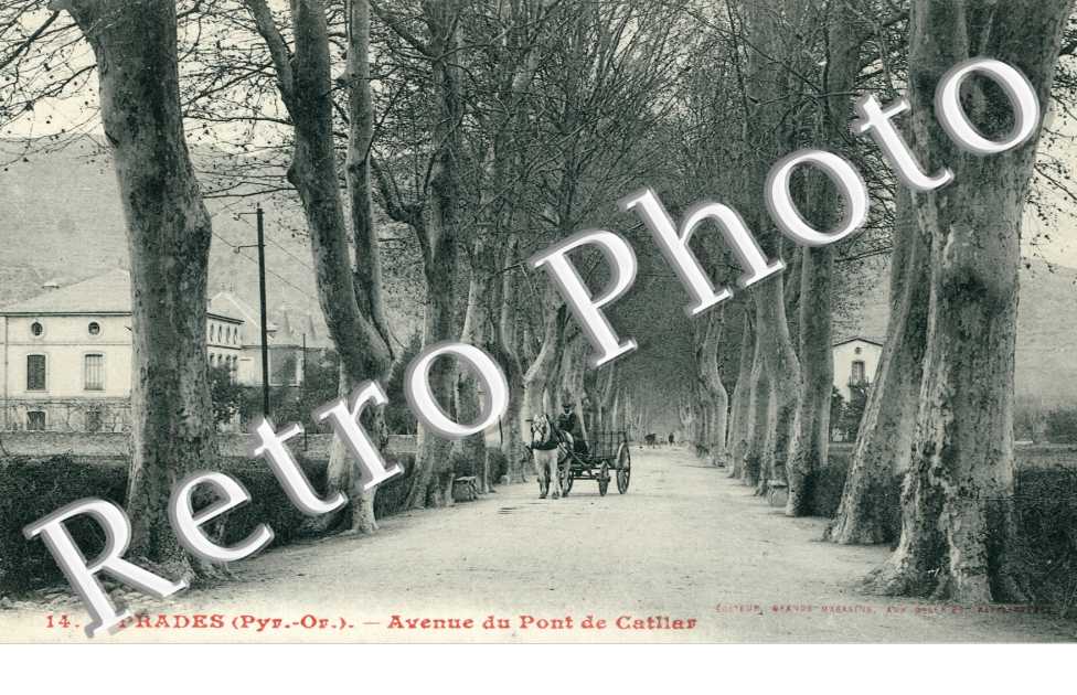 Avenue du pont de Catlar