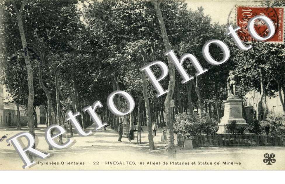 les allees de platanes et statue de Minerve