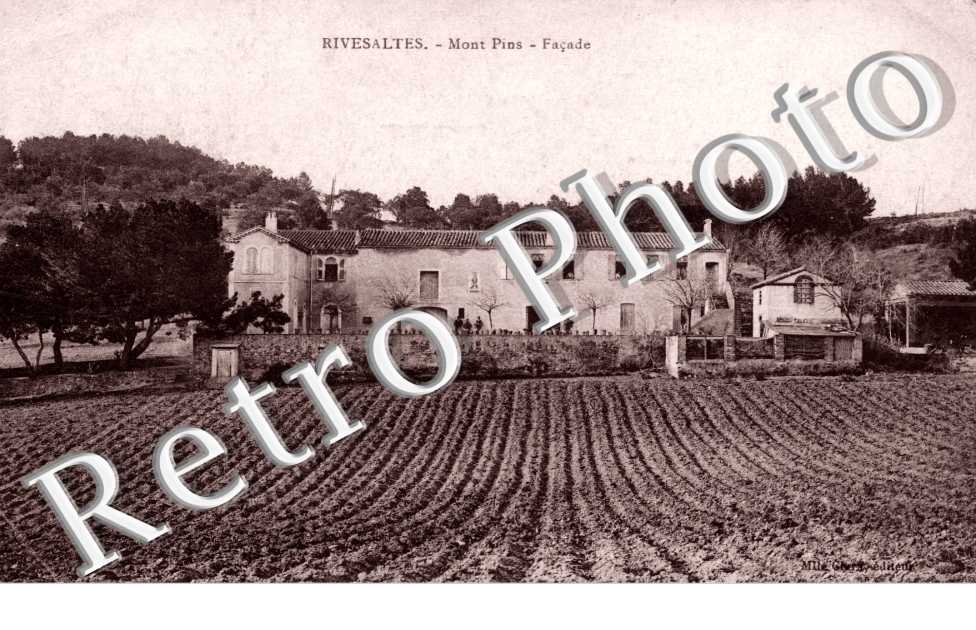 Mont Pins -  Facade