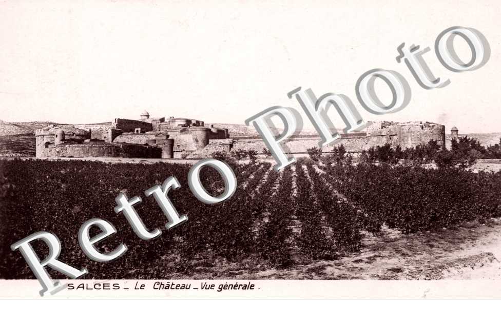 le chateau, vue generale
