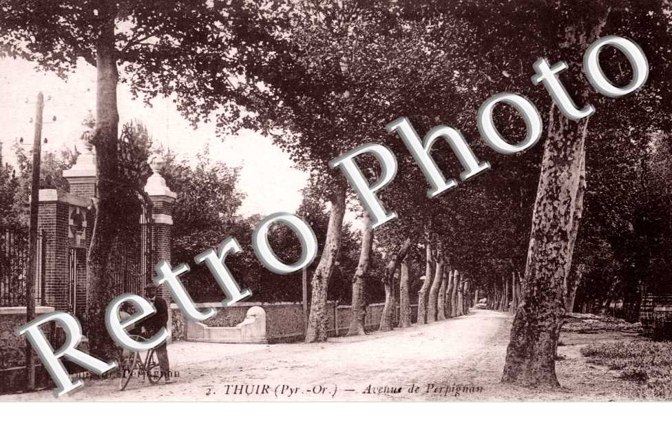 avenue de Perpignan