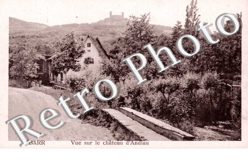 Vue sur le Chateau d'Andlau
