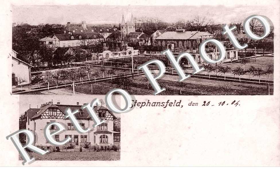 Stephansfeld