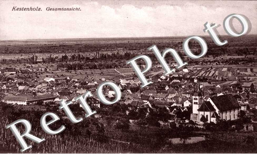 Kestenholz. Gesamtansicht