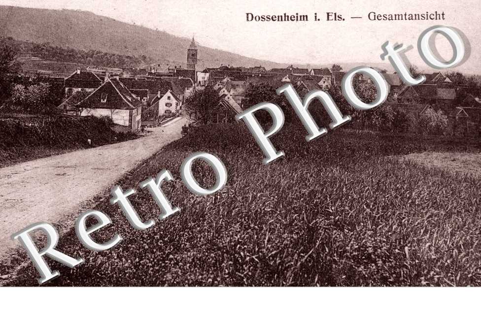 gesamtansicht