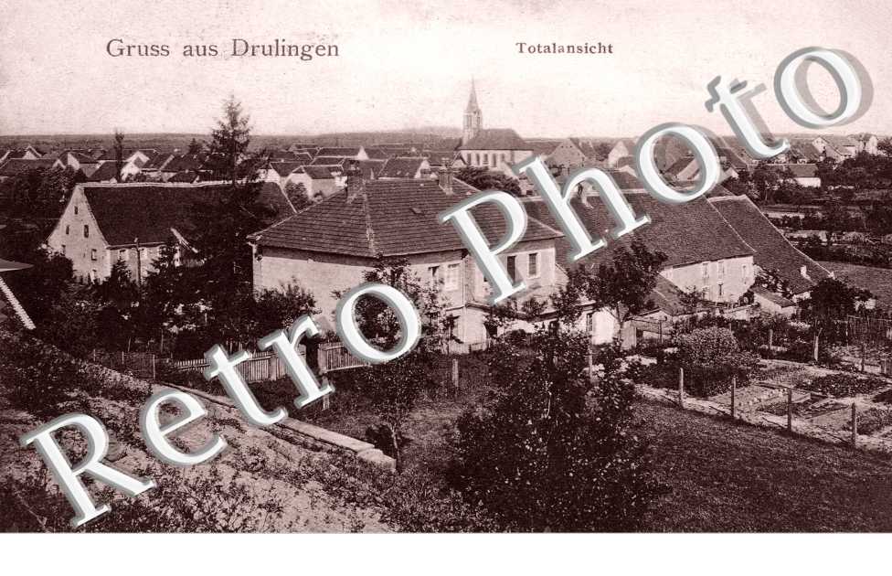 Vue Générale