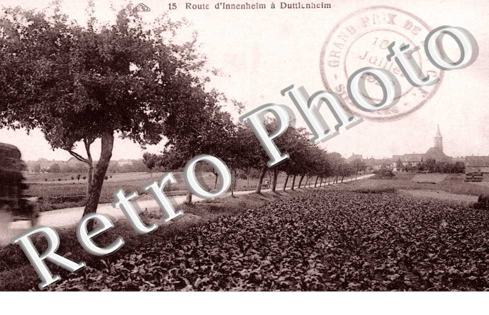 route d'Innenheim a Duttlenheim