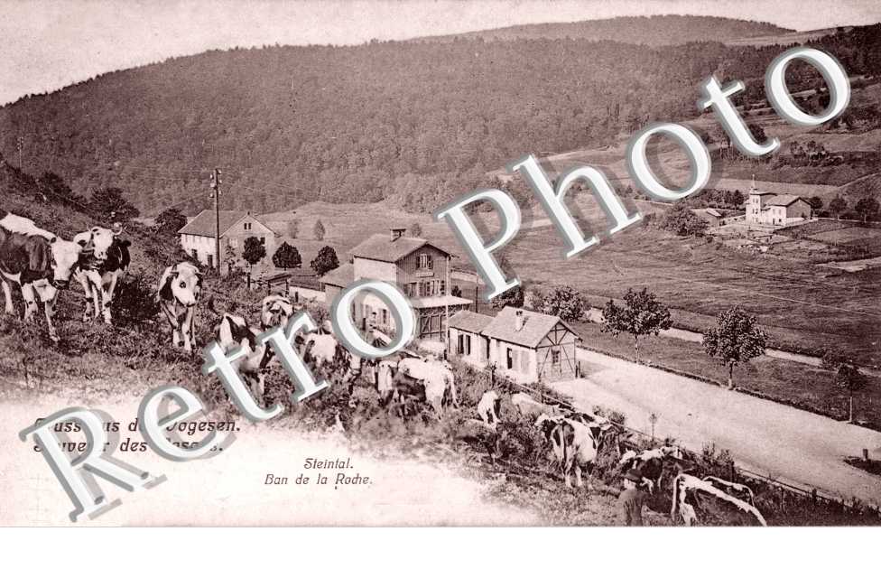 Souvenir des Vosges