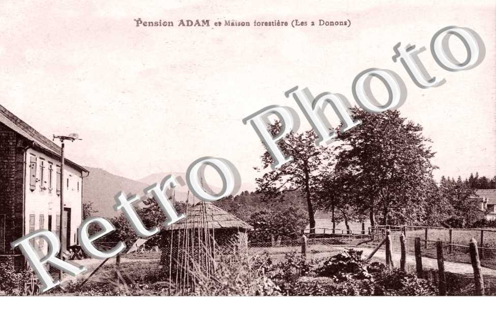 pension Adam et maison forestiere