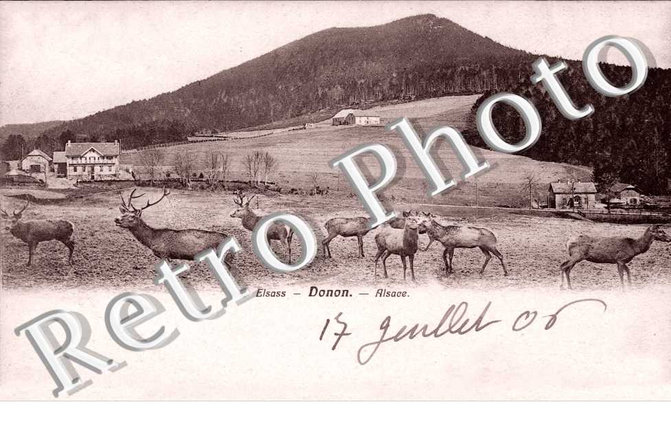 Panorama, Donon