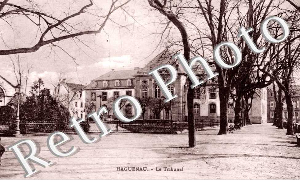 le Tribunal