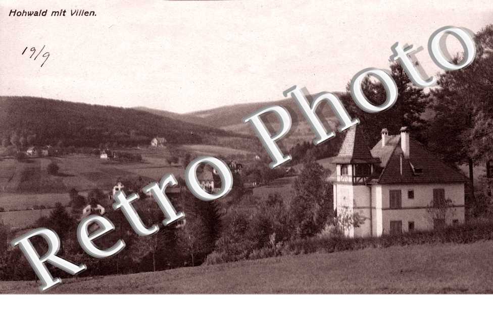 Hohwald mit Villen