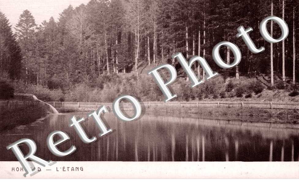 l'etang