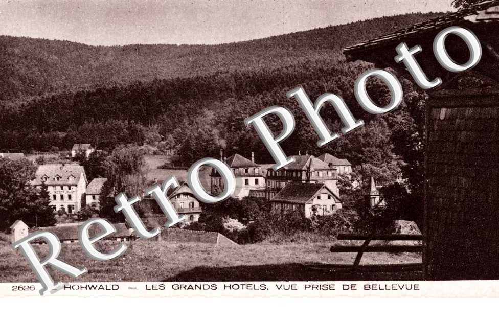 Vue prise de Bellevue, les Grands Hotels
